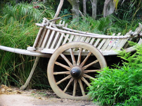 APAC Advertisers Stuck in Ad Network Model