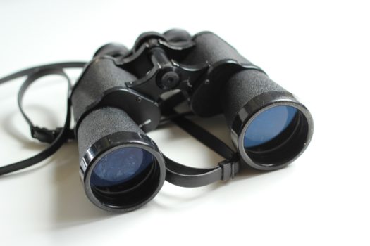 Programmatic Display: A Viable Alternative to Google Search?