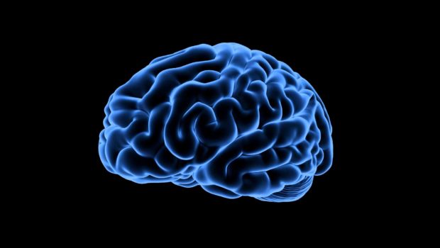 Measuring Ad Annoyance: How Our Perceptual System Processes Ads