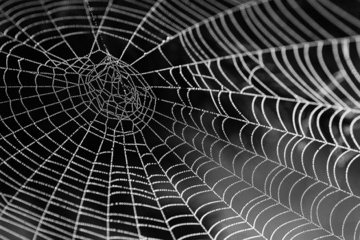The Secret to User-Centric Marketing Attribution