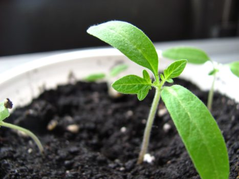 Don’t Be Afraid to Evolve Your Proposition: Q&A with Paul Coggins, CEO, Adludio