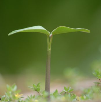 Bid Enrichment: What's in It for You?