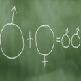 gender diversity