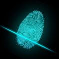 Fingerprint