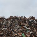 Waste