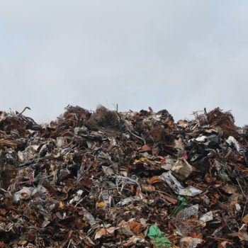 With All the Talk of Fraud, the Industry Overlooks Waste Waste