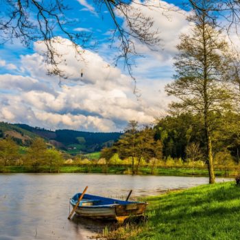 The 2020 Digital Landscape Boat Landscape