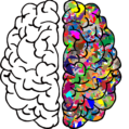 Brain