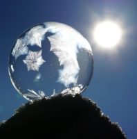 Transparency & Trust: The Future of Programmatic Buying