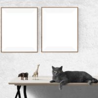 Time To Reframe The Industry: The Service Layer Reframing