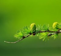 The Evolving Client and Agency Relationship