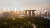 Blue Billywig Singapore