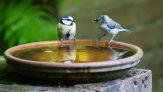 Conversation