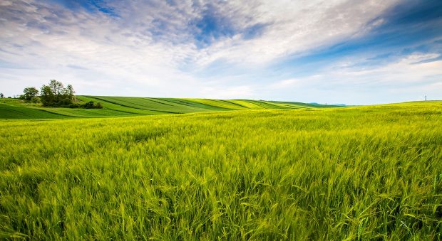 "In a World of Walled Gardens, We Want to be Fields" – a Recap of Equativ's Cannes Panel