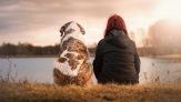 Friendship
