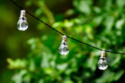 How to Foster a Culture of Sustainable Advertising a lightbulb in a tree