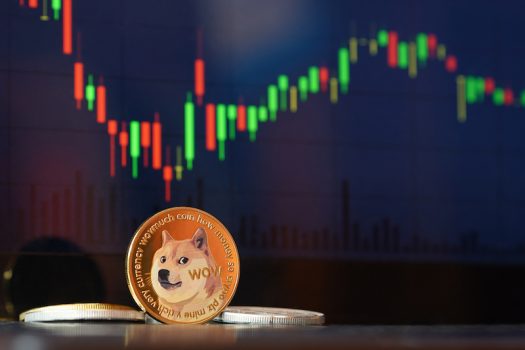 Musk Meme Sees Dogecoin Soar by USD$2bn; Shein to Open Physical Shop in Japan