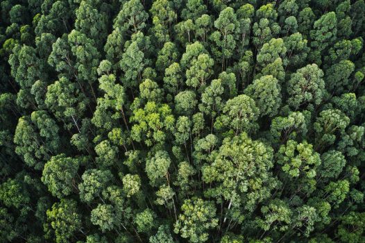 ESG: predictions for sustainability in 2023 What's in store for adland's ESG in 2023?