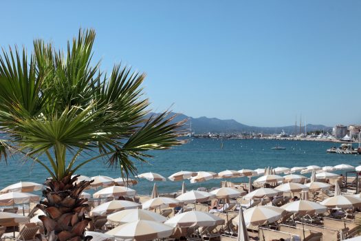 ExchangeWire to partner with Seedtag at Cannes